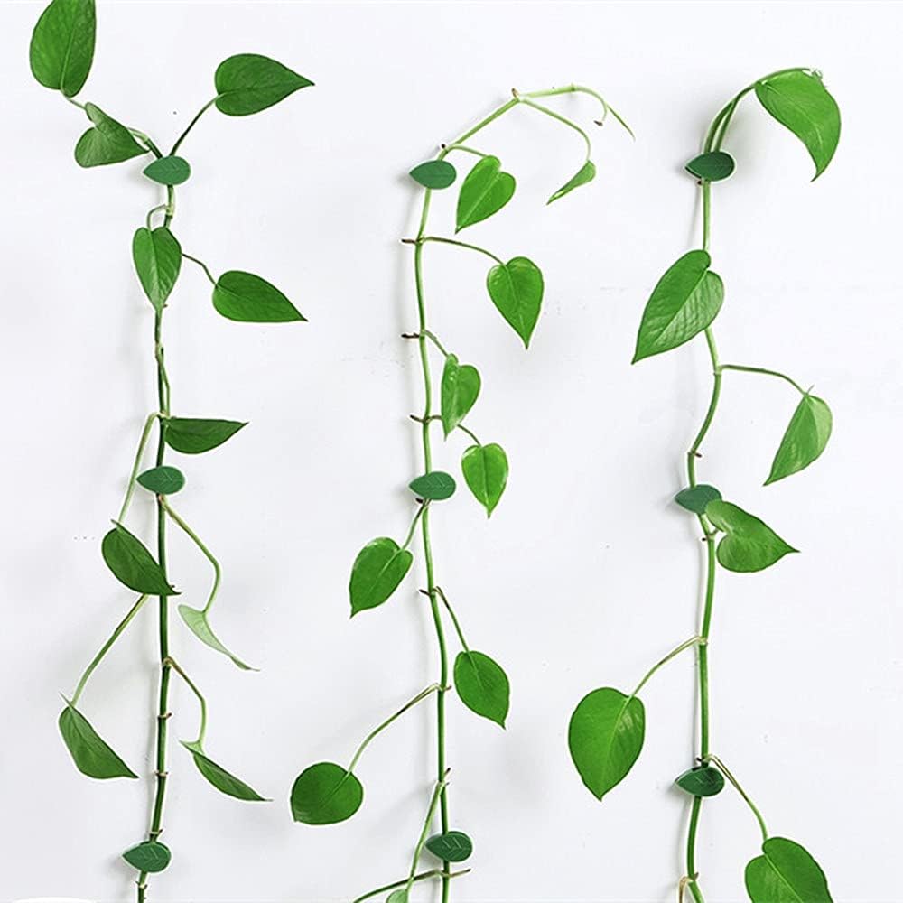 مشابك النباتات - عبوة من 30 قطعة